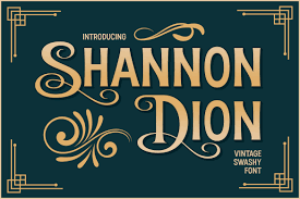 Shannon Dion Regular Font preview